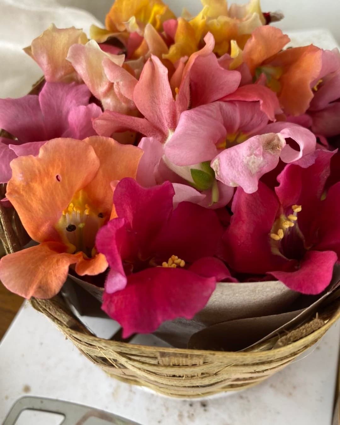 Flowers — view 2