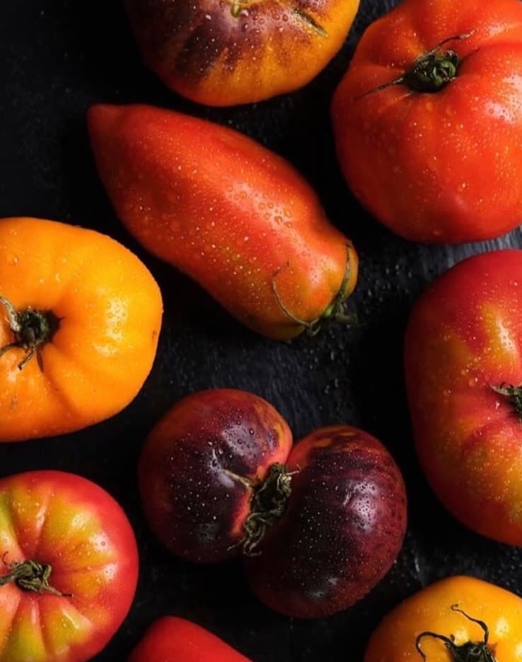 Tomatoes — view 1