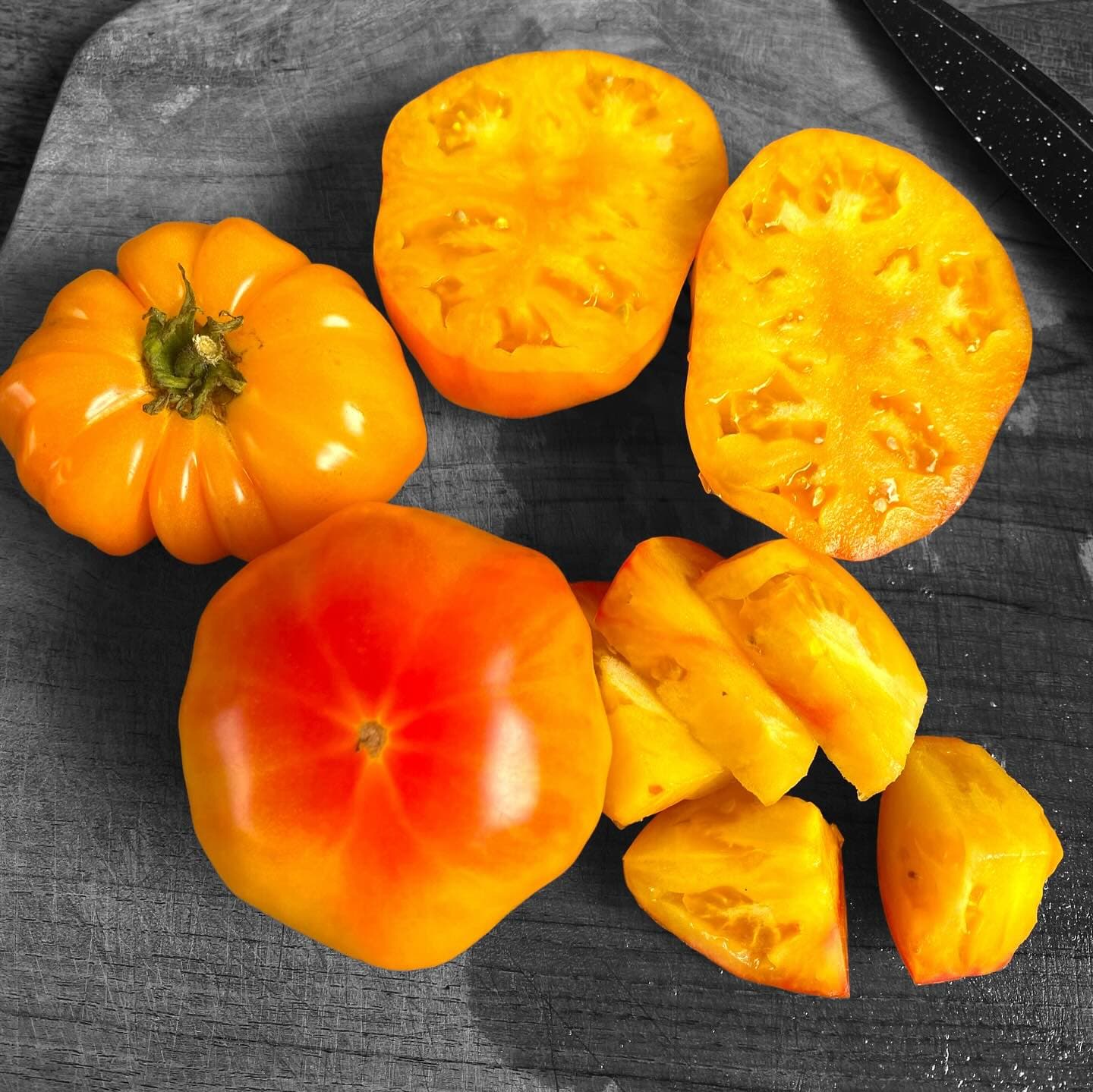Tomatoes — view 3