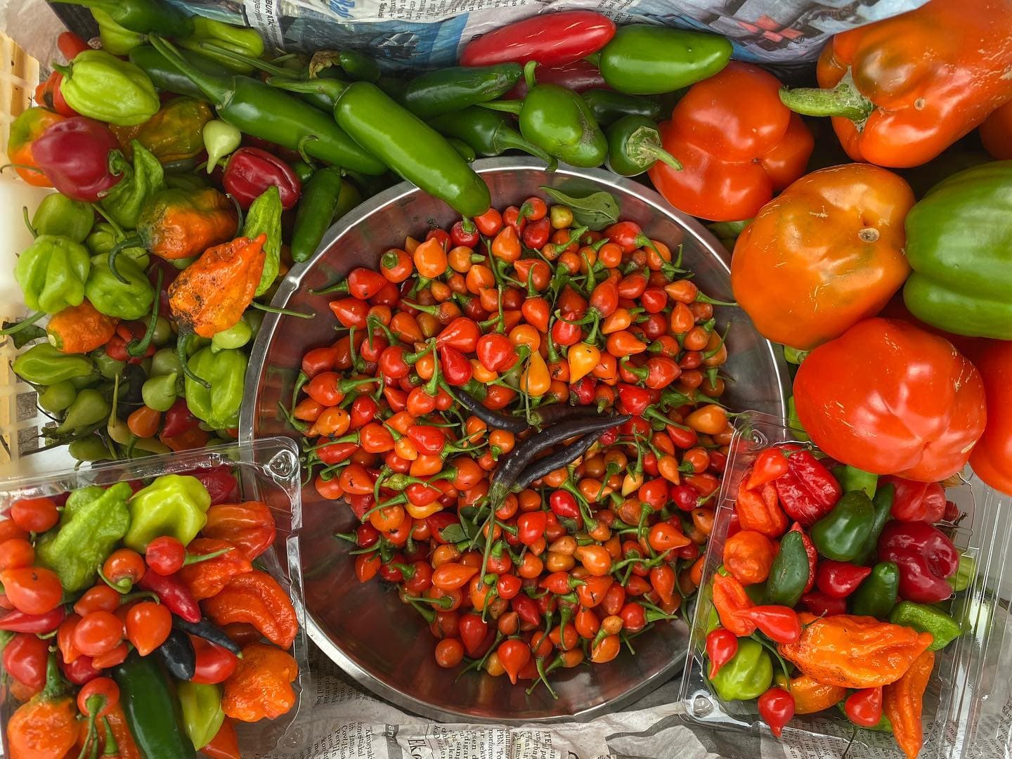 A market display of fresh produce