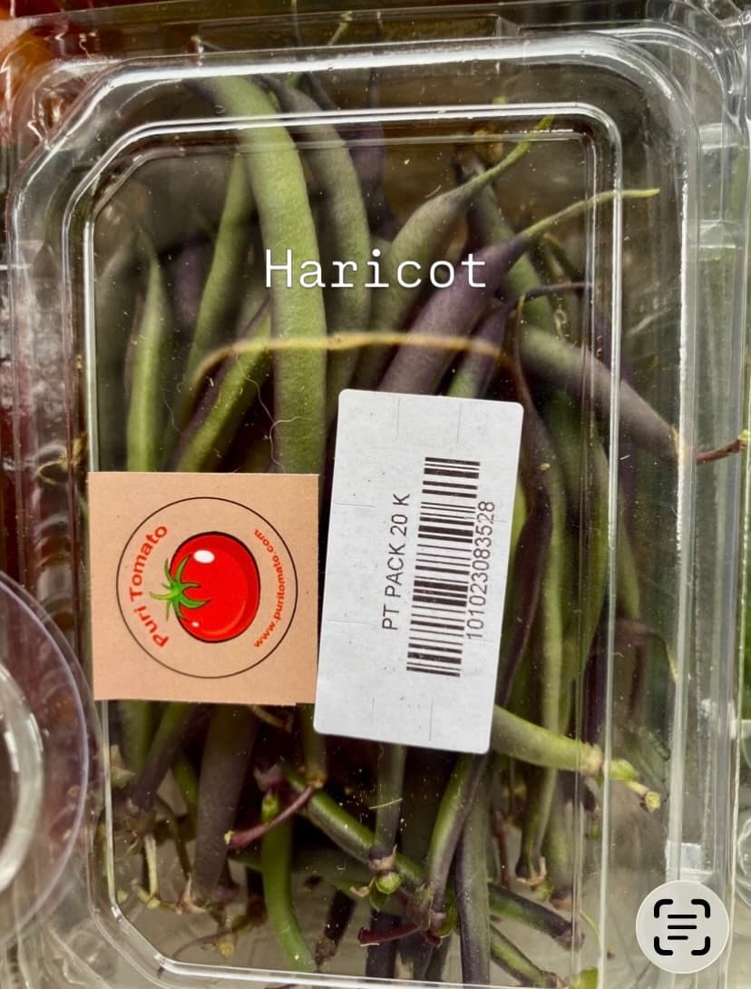 Roots